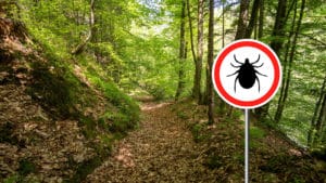 Forest with Tick Sign