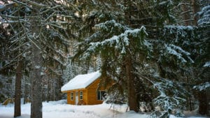 Cabin in Forest