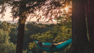 Hammock in Sunset